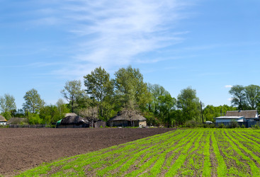 Similar image 6318360