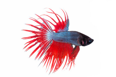 Similar image 6318361