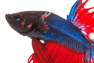 Similar image 6318362