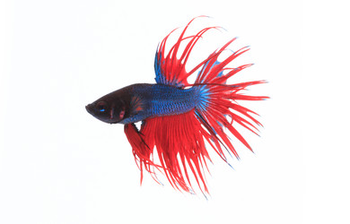 Similar image 6318365