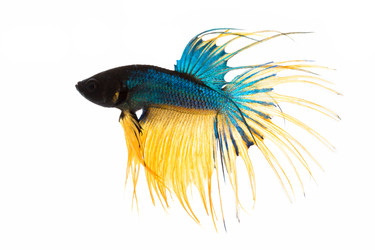 Similar image 6318366