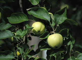 Similar image 6318372