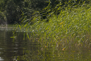 Similar image 6318373