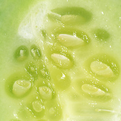 Similar image 6318831