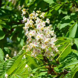 Similar image 6318868