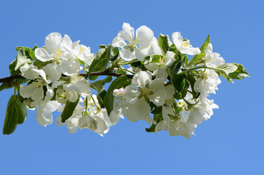 Similar image 6318869