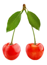 Similar image 6319142