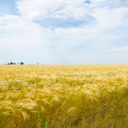 Similar image 6319154