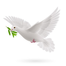 Similar image 6319207