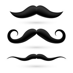 Similar image 6319235