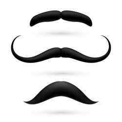 Similar image 6319247