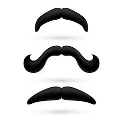 Similar image 6319248