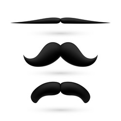 Similar image 6319249