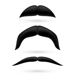 Similar image 6319251