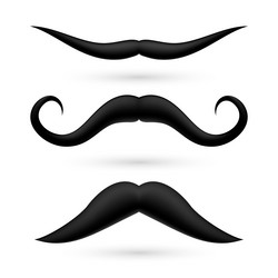 Similar image 6319252