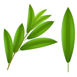 Similar image 6319327