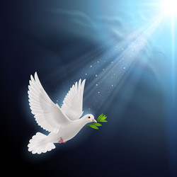 Similar image 6319328