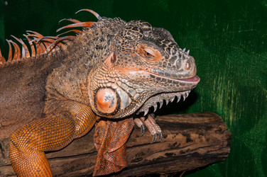 Similar image 6319345