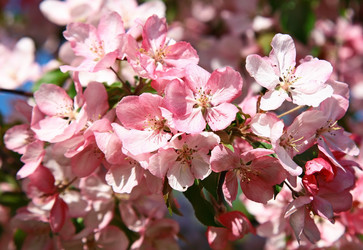 Similar image 6319349