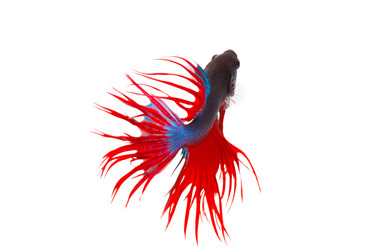 Similar image 6319367