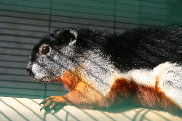 Similar image 6319378