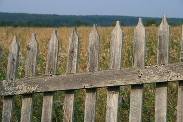 Similar image 6319379