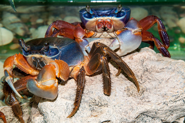 Similar image 6319401