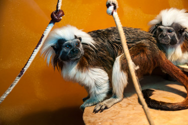 Similar image 6319404