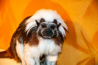 Similar image 6319407