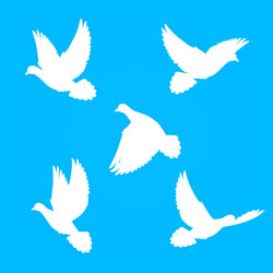 Similar image 6319534