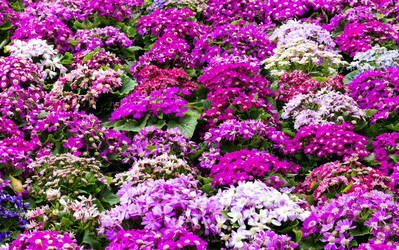 Similar image 6319654