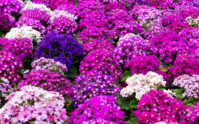 Similar image 6319676