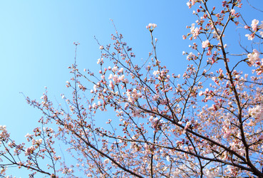 Similar image 6319691