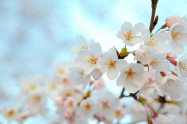 Similar image 6319692