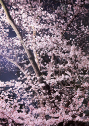 Similar image 6319698