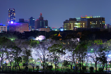 Similar image 6319699