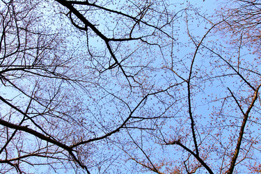 Similar image 6319711