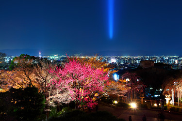 Similar image 6319721