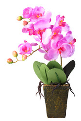 Similar image 6319733