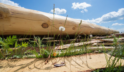 Similar image 6319737