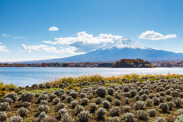 Similar image 6319950