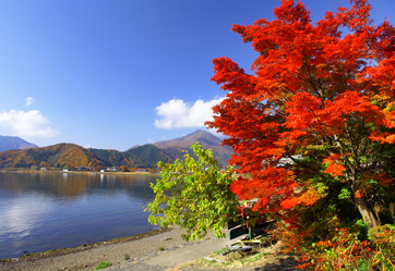 Similar image 6319968