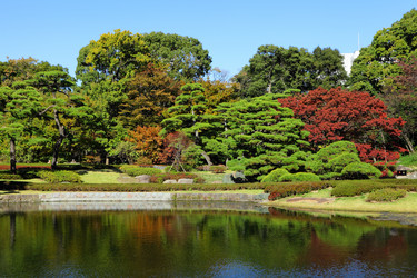 Similar image 6319970