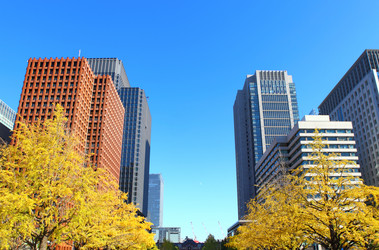 Similar image 6319979