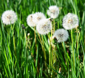 Similar image 6320108