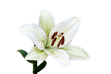 Similar image 6320109