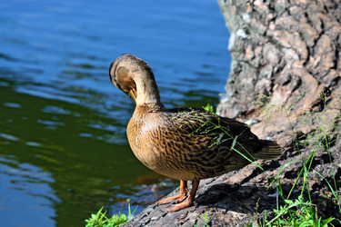 Similar image 6320123