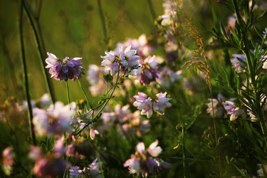 Similar image 6320125