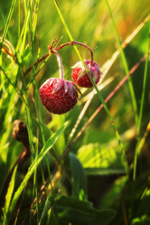 Similar image 6320126