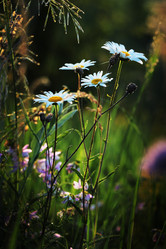 Similar image 6320127